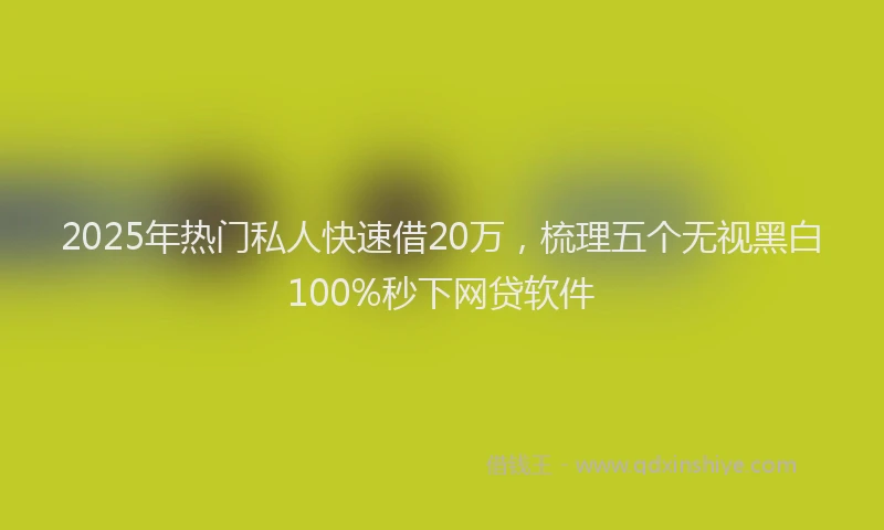 2025年热门私人快速借20万，梳理五个无视黑白100%秒下网贷软件