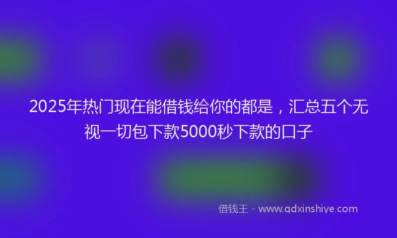 2025年热门现在能借钱给你的都是，汇总五个无视一切包下款5000秒下款的口子