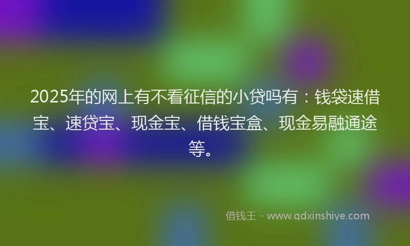 2025年的网上有不看征信的小贷吗有：钱袋速借宝、速贷宝、现金宝、借钱宝盒、现金易融通途等。