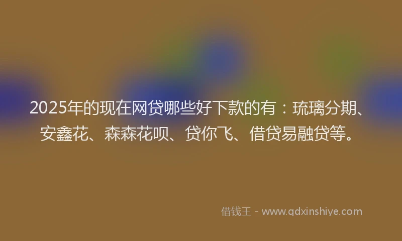 2025年的现在网贷哪些好下款的有：琉璃分期、安鑫花、森森花呗、贷你飞、借贷易融贷等。