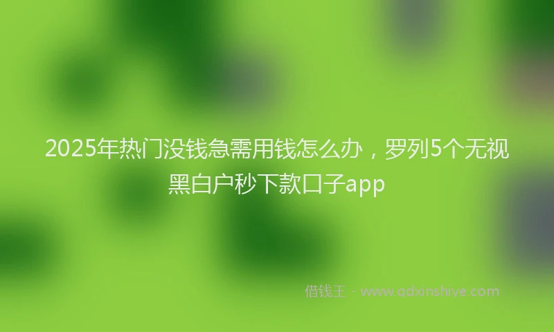 2025年热门没钱急需用钱怎么办，罗列5个无视黑白户秒下款口子app
