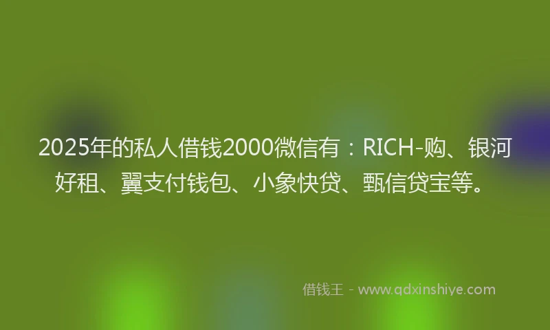 2025年的私人借钱2000微信有：RICH-购、银河好租、翼支付钱包、小象快贷、甄信贷宝等。