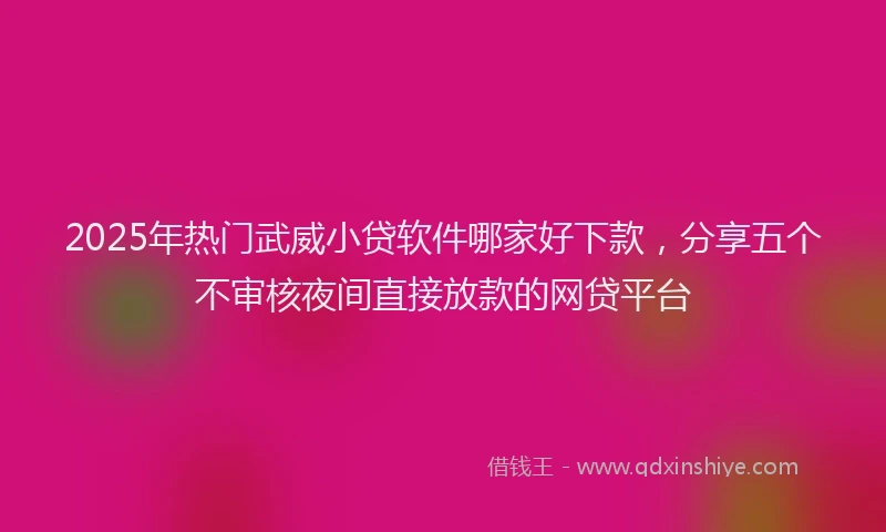 2025年热门武威小贷软件哪家好下款，分享五个不审核夜间直接放款的网贷平台