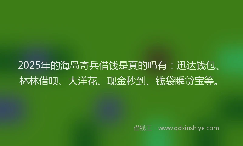2025年的海岛奇兵借钱是真的吗有：迅达钱包、林林借呗、大洋花、现金秒到、钱袋瞬贷宝等。