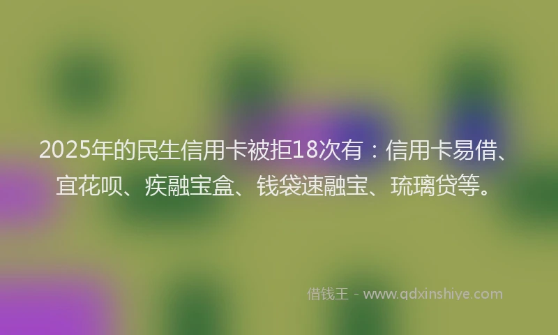 2025年的民生信用卡被拒18次有：信用卡易借、宜花呗、疾融宝盒、钱袋速融宝、琉璃贷等。