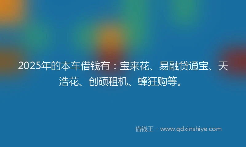 2025年的本车借钱有：宝来花、易融贷通宝、天浩花、创硕租机、蜂狂购等。