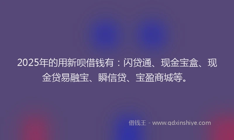 2025年的用新呗借钱有：闪贷通、现金宝盒、现金贷易融宝、瞬信贷、宝盈商城等。
