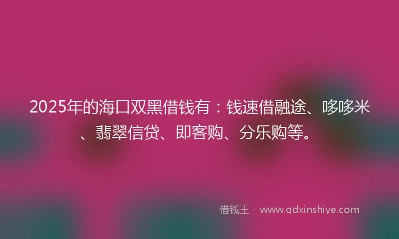 2025年的海口双黑借钱有：钱速借融途、哆哆米、翡翠信贷、即客购、分乐购等。