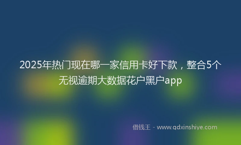 2025年热门现在哪一家信用卡好下款，整合5个无视逾期大数据花户黑户app