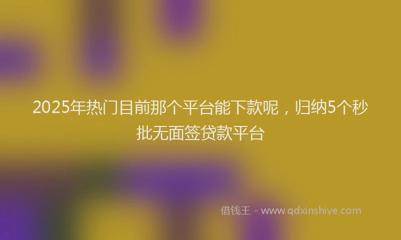 2025年热门目前那个平台能下款呢，归纳5个秒批无面签贷款平台
