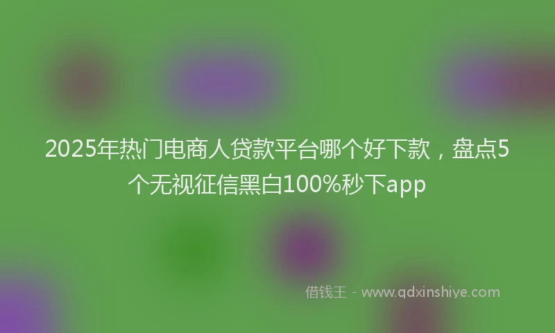 2025年热门电商人贷款平台哪个好下款，盘点5个无视征信黑白100%秒下app
