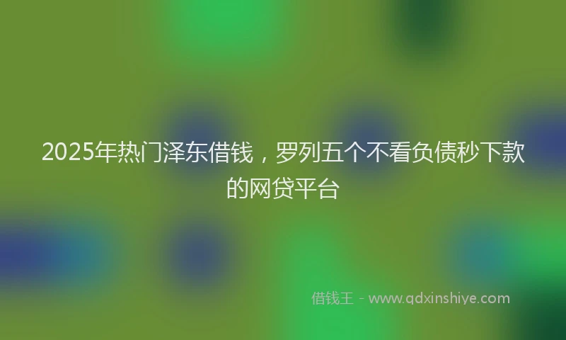 2025年热门泽东借钱，罗列五个不看负债秒下款的网贷平台