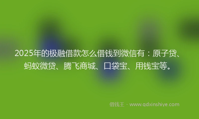 2025年的极融借款怎么借钱到微信有：原子贷、蚂蚁微贷、腾飞商城、口袋宝、用钱宝等。
