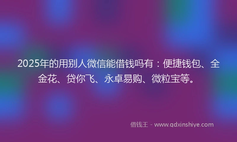 2025年的用别人微信能借钱吗有：便捷钱包、全金花、贷你飞、永卓易购、微粒宝等。