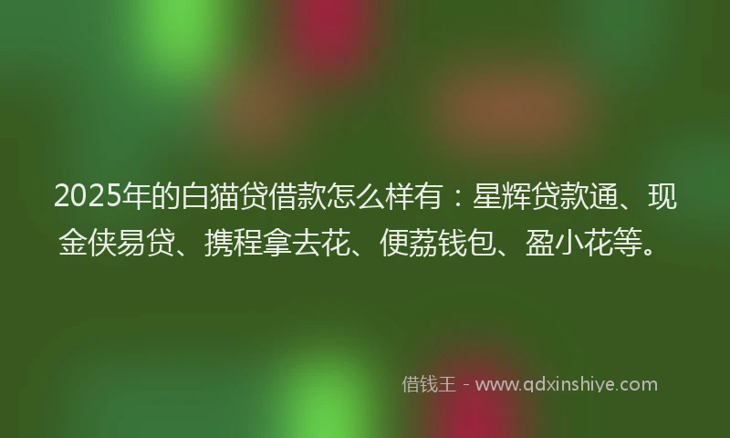 2025年的白猫贷借款怎么样有：星辉贷款通、现金侠易贷、携程拿去花、便荔钱包、盈小花等。