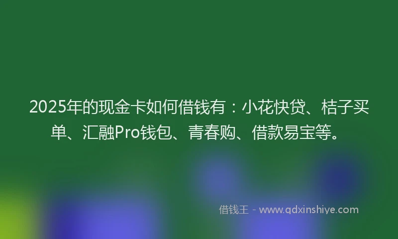 2025年的现金卡如何借钱有：小花快贷、桔子买单、汇融Pro钱包、青春购、借款易宝等。