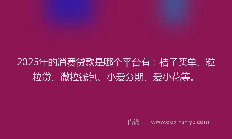 2025年的消费贷款是哪个平台有：桔子买单、粒粒贷、微粒钱包、小爱分期、爱小花等。