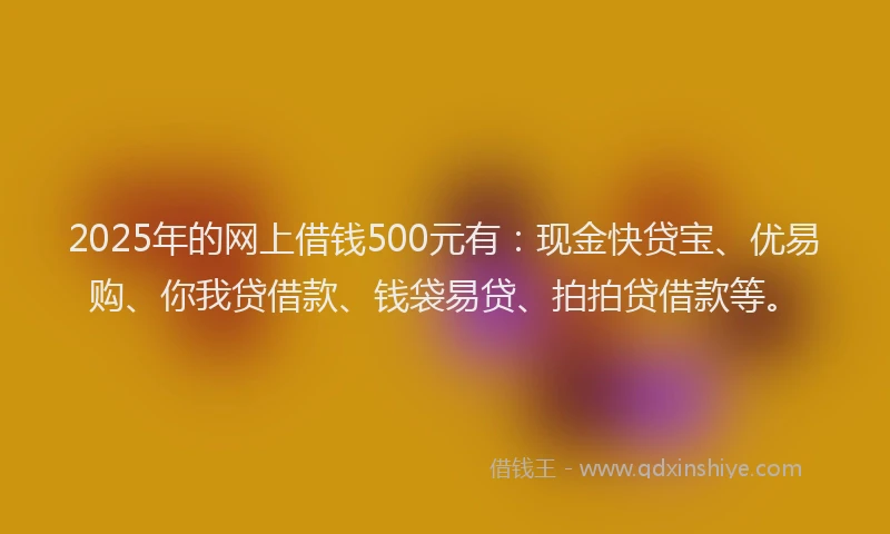 2025年的网上借钱500元有：现金快贷宝、优易购、你我贷借款、钱袋易贷、拍拍贷借款等。
