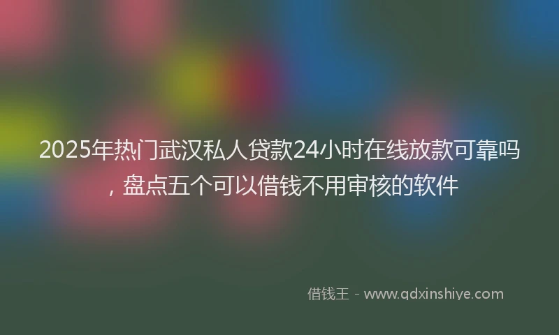 2025年热门武汉私人贷款24小时在线放款可靠吗，盘点五个可以借钱不用审核的软件