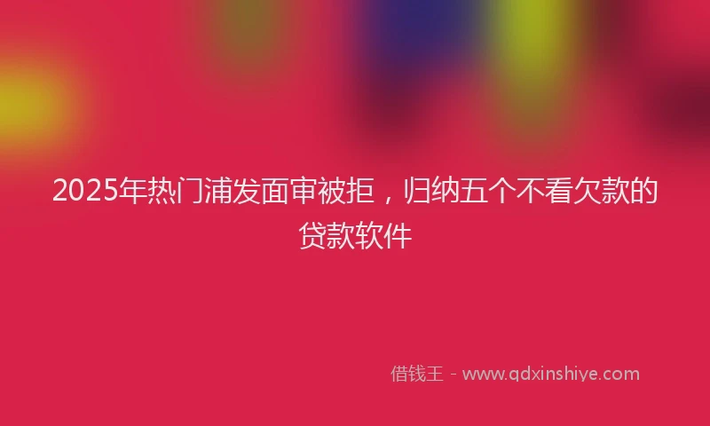 2025年热门浦发面审被拒，归纳五个不看欠款的贷款软件