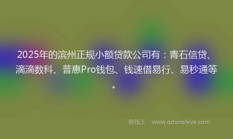 2025年的滨州正规小额贷款公司有：青石信贷、滴滴数科、普惠Pro钱包、钱速借易行、易秒通等。