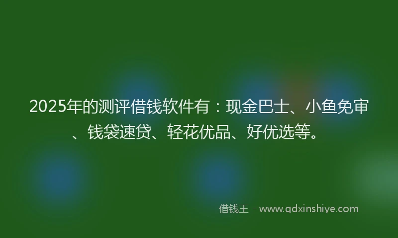2025年的测评借钱软件有：现金巴士、小鱼免审、钱袋速贷、轻花优品、好优选等。
