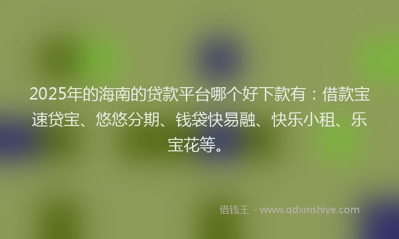2025年的海南的贷款平台哪个好下款有：借款宝速贷宝、悠悠分期、钱袋快易融、快乐小租、乐宝花等。