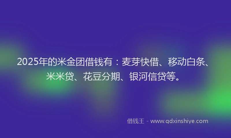 2025年的米金团借钱有：麦芽快借、移动白条、米米贷、花豆分期、银河信贷等。