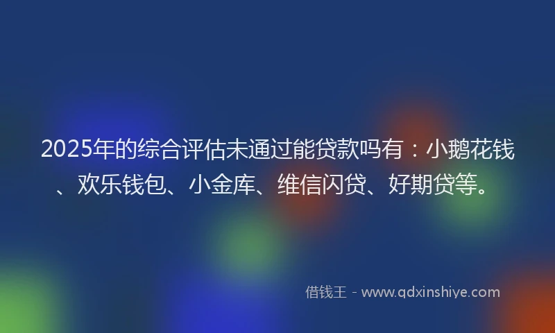 2025年的综合评估未通过能贷款吗有：小鹅花钱、欢乐钱包、小金库、维信闪贷、好期贷等。