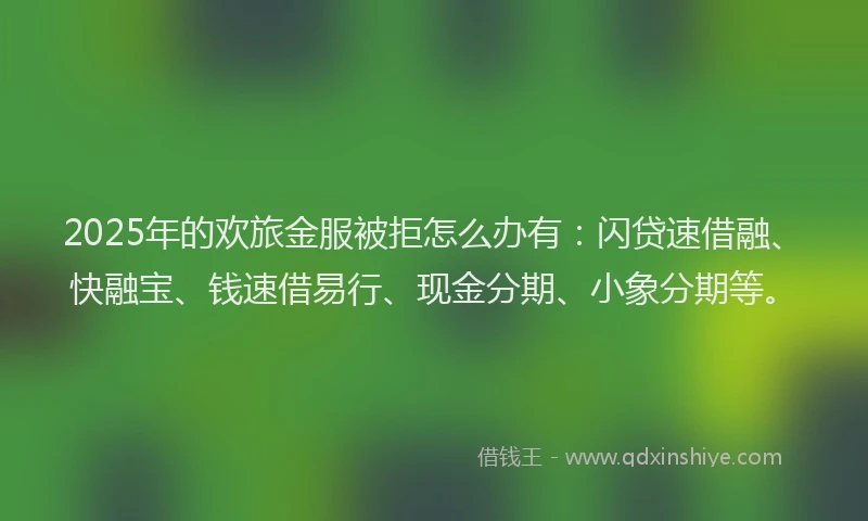 2025年的欢旅金服被拒怎么办有：闪贷速借融、快融宝、钱速借易行、现金分期、小象分期等。