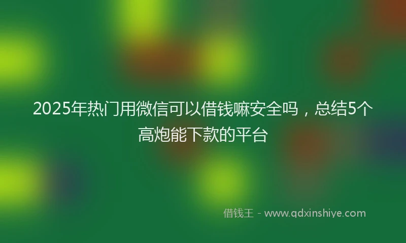 2025年热门用微信可以借钱嘛安全吗，总结5个高炮能下款的平台