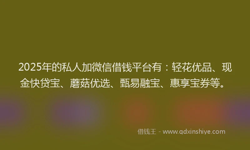 2025年的私人加微信借钱平台有：轻花优品、现金快贷宝、蘑菇优选、甄易融宝、惠享宝券等。