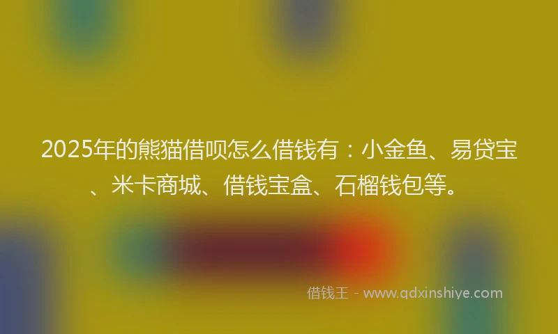 2025年的熊猫借呗怎么借钱有：小金鱼、易贷宝、米卡商城、借钱宝盒、石榴钱包等。