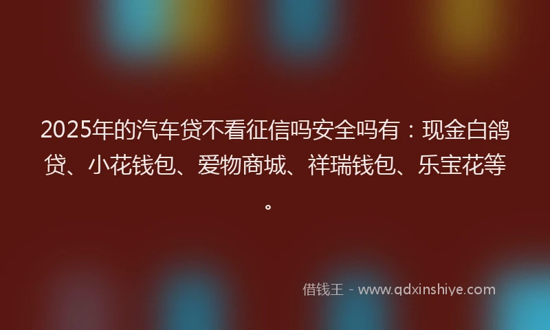 2025年的汽车贷不看征信吗安全吗有：现金白鸽贷、小花钱包、爱物商城、祥瑞钱包、乐宝花等。