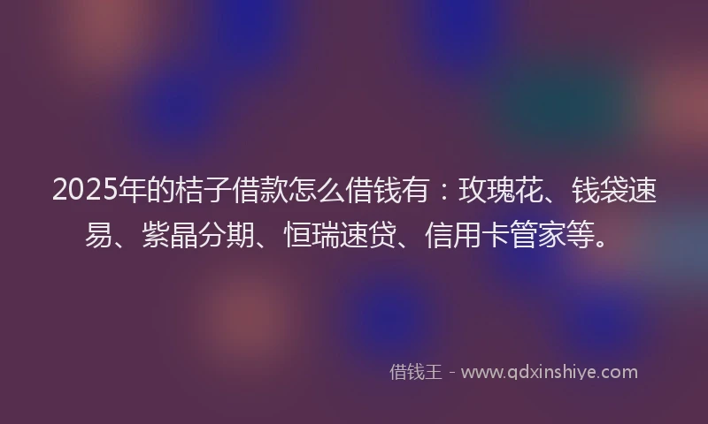 2025年的桔子借款怎么借钱有：玫瑰花、钱袋速易、紫晶分期、恒瑞速贷、信用卡管家等。