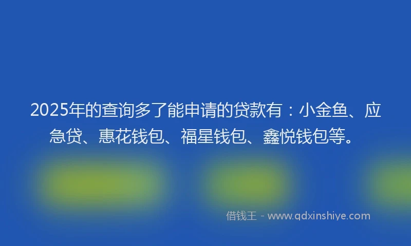 2025年的查询多了能申请的贷款有：小金鱼、应急贷、惠花钱包、福星钱包、鑫悦钱包等。