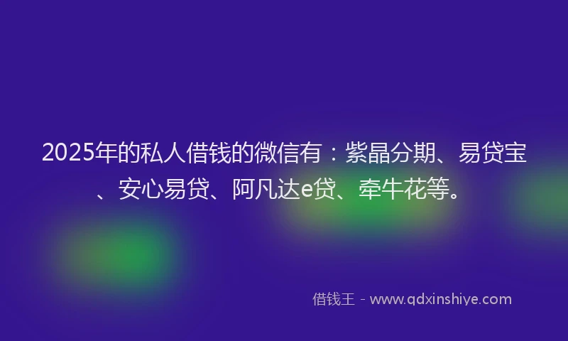 2025年的私人借钱的微信有：紫晶分期、易贷宝、安心易贷、阿凡达e贷、牵牛花等。