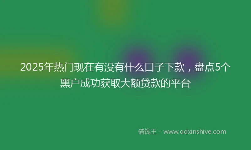 2025年热门现在有没有什么口子下款，盘点5个黑户成功获取大额贷款的平台