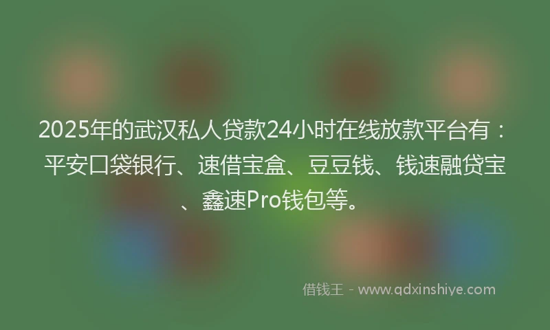 2025年的武汉私人贷款24小时在线放款平台有：平安口袋银行、速借宝盒、豆豆钱、钱速融贷宝、鑫速Pro钱包等。