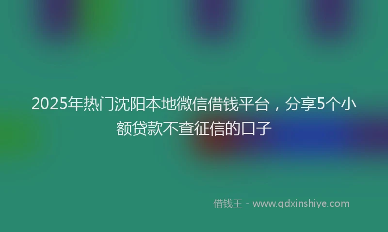 2025年热门沈阳本地微信借钱平台，分享5个小额贷款不查征信的口子