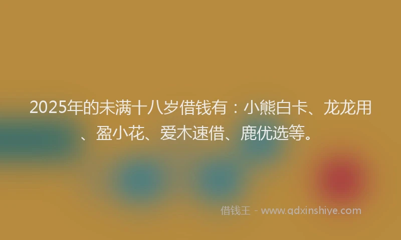 2025年的未满十八岁借钱有：小熊白卡、龙龙用、盈小花、爱木速借、鹿优选等。