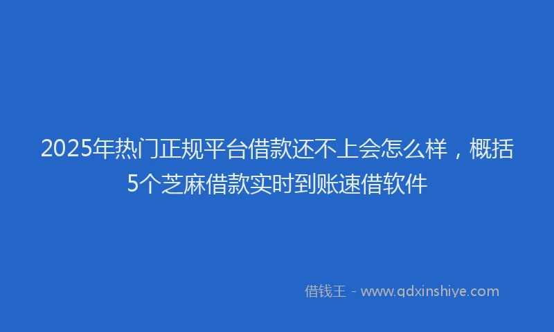 2025年热门正规平台借款还不上会怎么样，概括5个芝麻借款实时到账速借软件