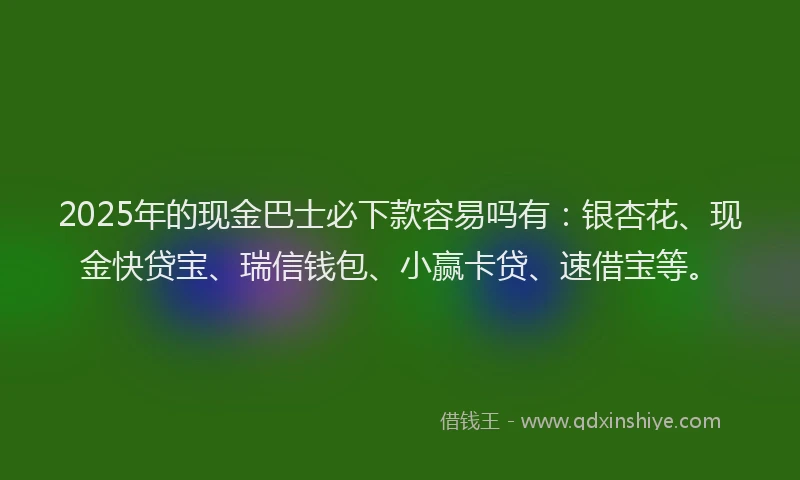 2025年的现金巴士必下款容易吗有：银杏花、现金快贷宝、瑞信钱包、小赢卡贷、速借宝等。