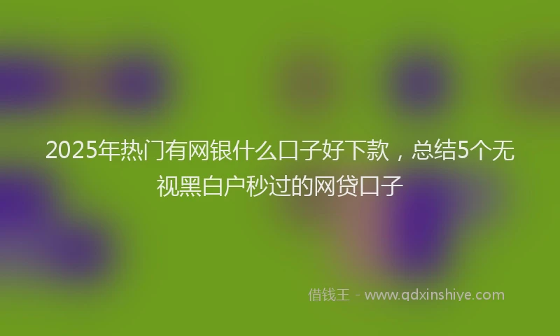 2025年热门有网银什么口子好下款，总结5个无视黑白户秒过的网贷口子