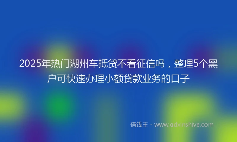 2025年热门湖州车抵贷不看征信吗，整理5个黑户可快速办理小额贷款业务的口子