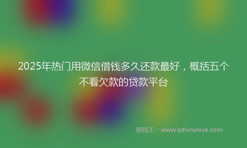 2025年热门用微信借钱多久还款最好，概括五个不看欠款的贷款平台