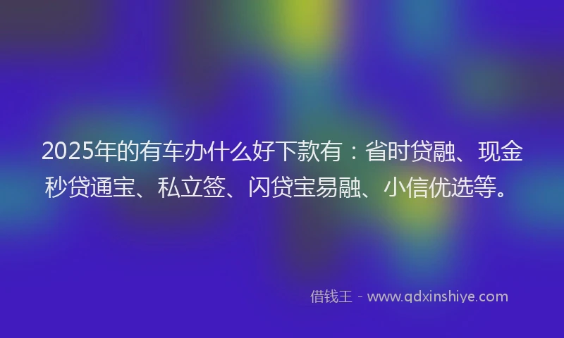 2025年的有车办什么好下款有：省时贷融、现金秒贷通宝、私立签、闪贷宝易融、小信优选等。