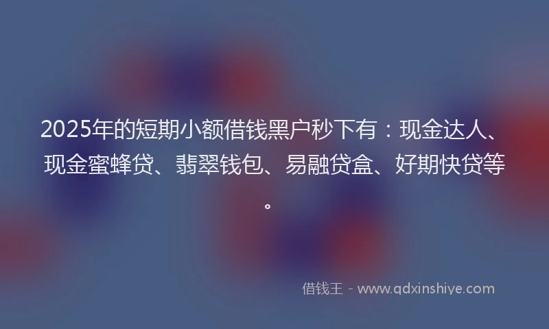 2025年的短期小额借钱黑户秒下有：现金达人、现金蜜蜂贷、翡翠钱包、易融贷盒、好期快贷等。