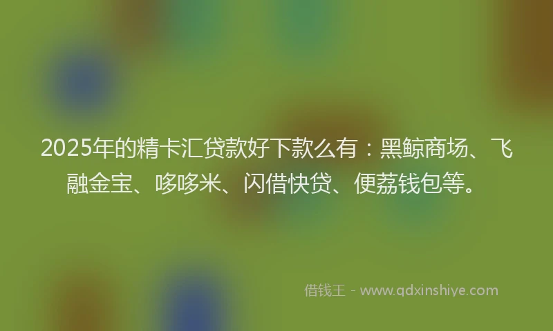 2025年的精卡汇贷款好下款么有：黑鲸商场、飞融金宝、哆哆米、闪借快贷、便荔钱包等。
