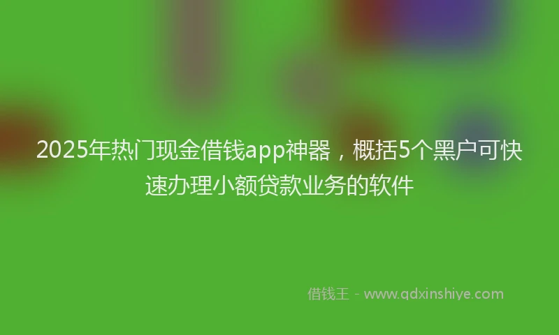 2025年热门现金借钱app神器，概括5个黑户可快速办理小额贷款业务的软件